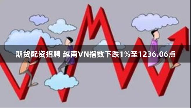 期货配资招聘 越南VN指数下跌1%至1236.06点