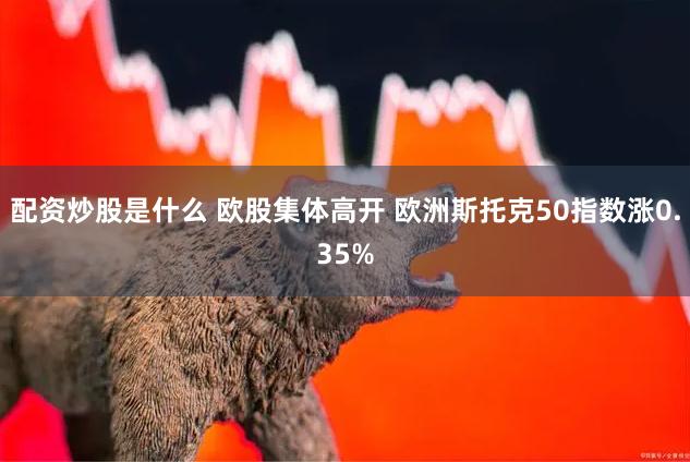 配资炒股是什么 欧股集体高开 欧洲斯托克50指数涨0.35%