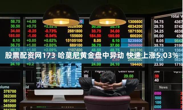 股票配资网173 哈莫尼黄金盘中异动 快速上涨5.03%